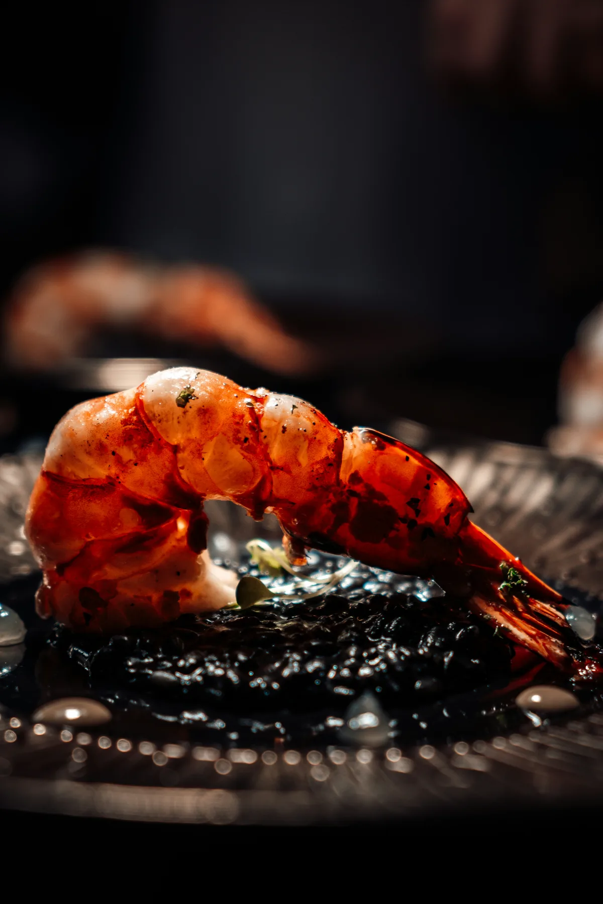 A plated seafood course photographed close and low