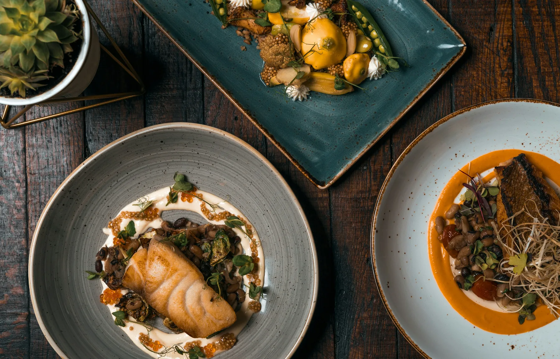Three plated courses photographed from overhead